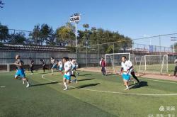 开云体育APP下载-北京顺义球员集训强度增加，备战下轮比赛的简单介绍