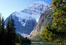 开云下载-外籍球员在中国篮球联赛大展身手，受到关注