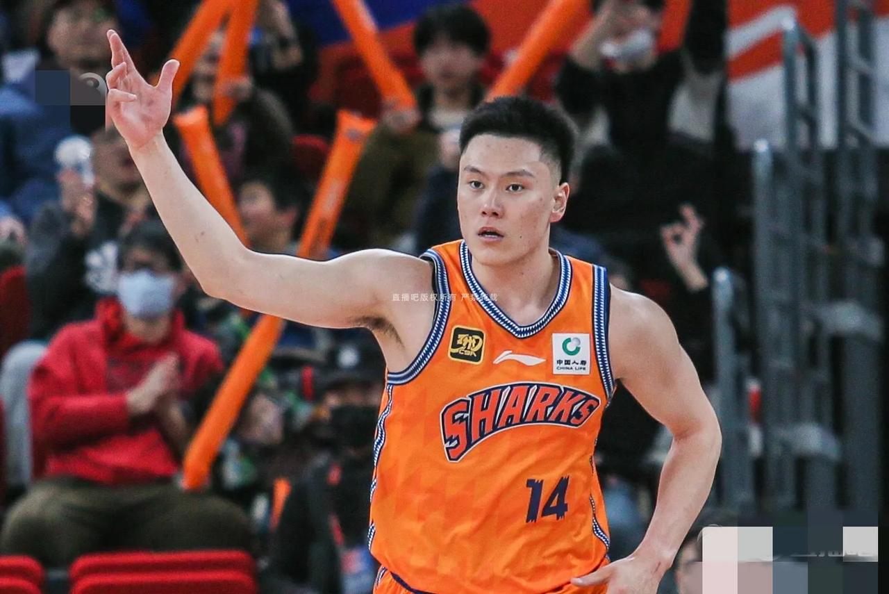 包含青岛队险胜辽宁队，胡金秋惊艳四座的词条